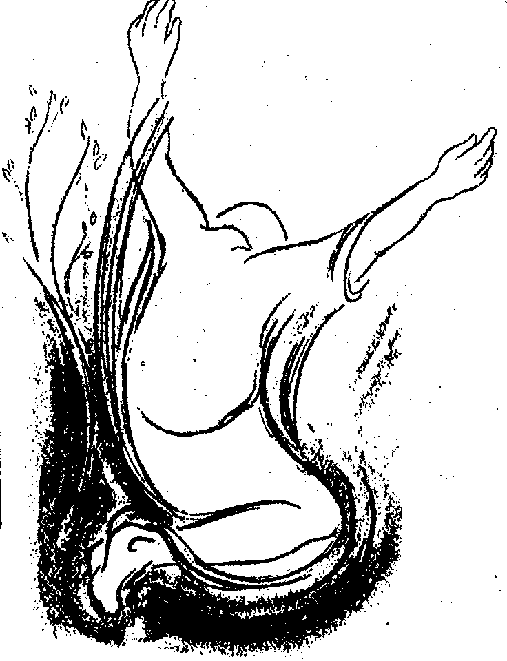 silvestri05